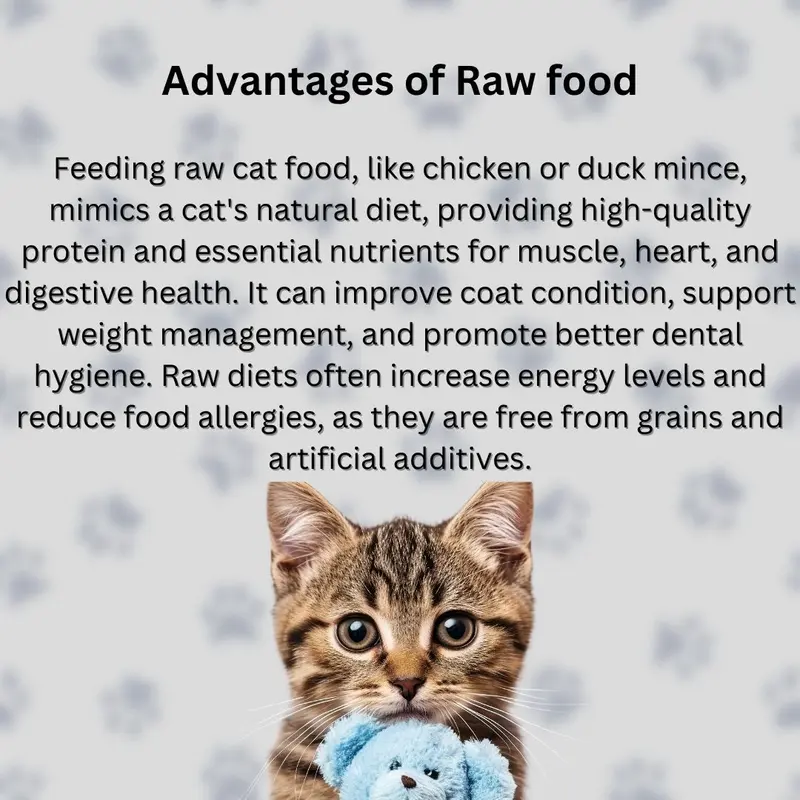 Cat Food Frozen Chicken Mince 16X250g Chubs. BARF Raw Diet real petfood 4