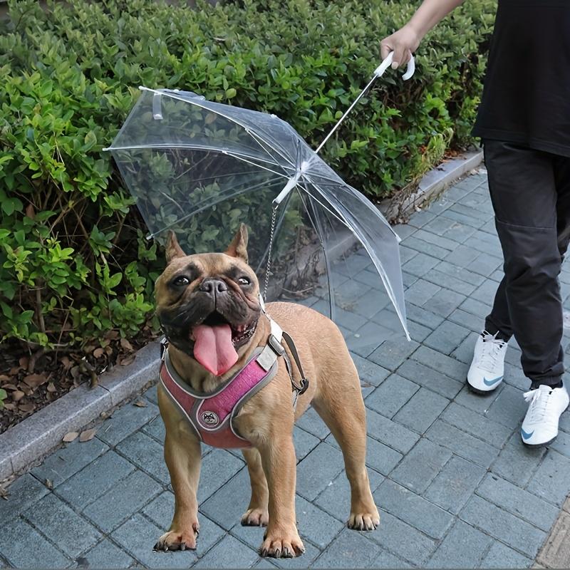 Small Dog Pet Umbrella, Foldable Transparent Rain Snow Protection Umbrella with Leash Chain, Plastic Material, Hand Wash Only 8