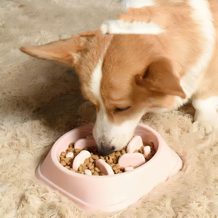 Product Introduction of Dog Bowl Slow Feeder Pet Bowl Anti Bloating Anti Slip Feet Interactive Feed Dish 16