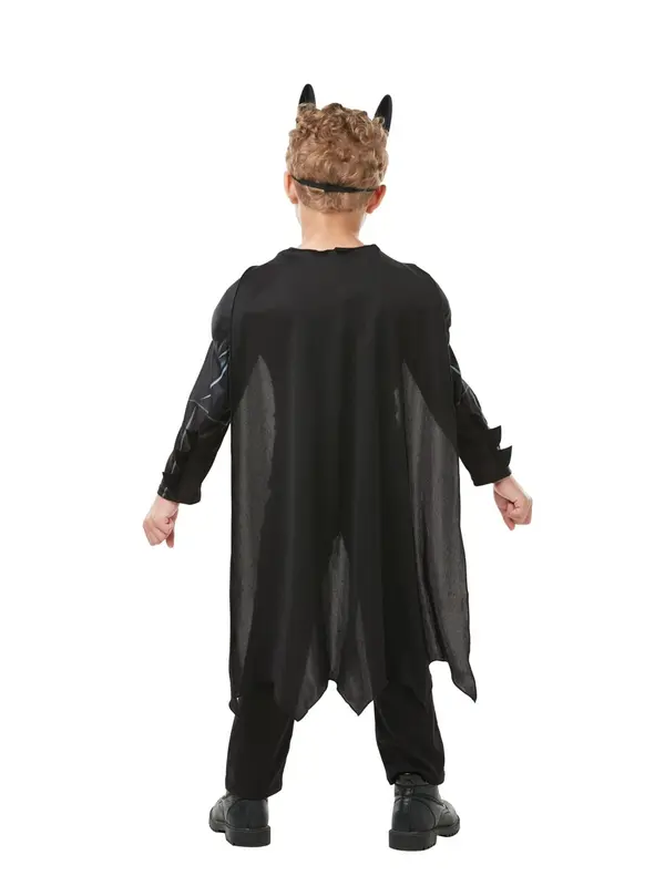 Batman Classic Costume - Large 2