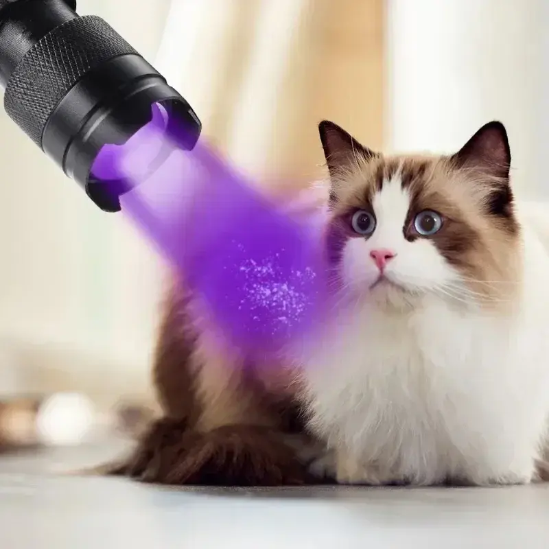 Compact LED UV Flashlight - 395/365nm Torch for Stain Detection & More