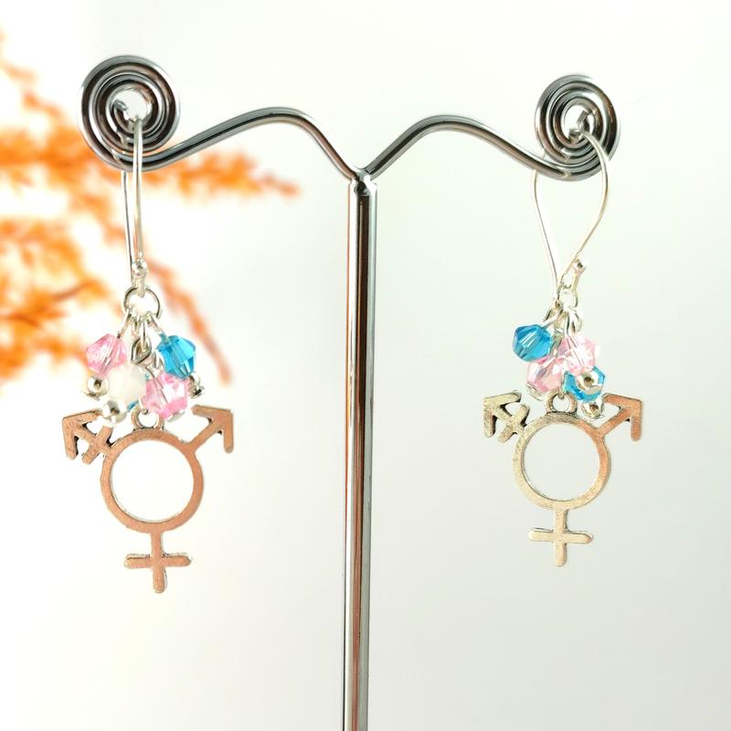 Trans Pride Earrings 1