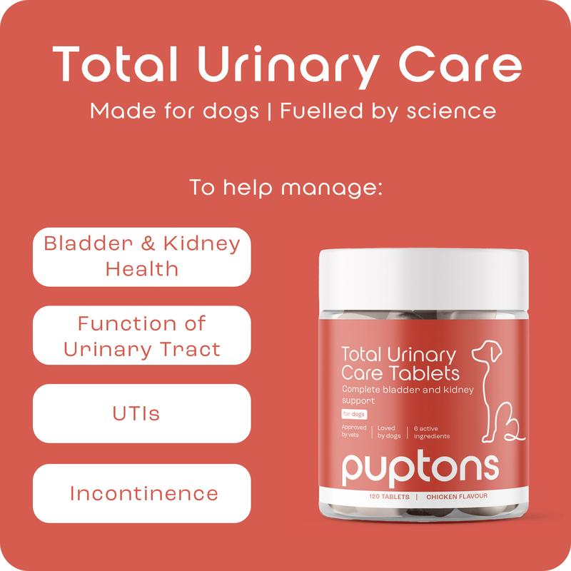 Puptons Urinary Care | Dog UTI, Incontinence & Cystitis Relief Tablets | Natural Ingredients | Advanced Bladder & Kidney Support for Dogs 4