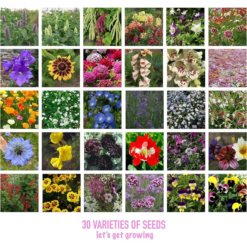 Flower Seed Variety Pack - 30 Different Varieties of Flower Seeds to Grow Your Own. Butterfly and Bee Attracting, Grow Indoor and Outdoor. Christmas Gifts for Women and Men 3