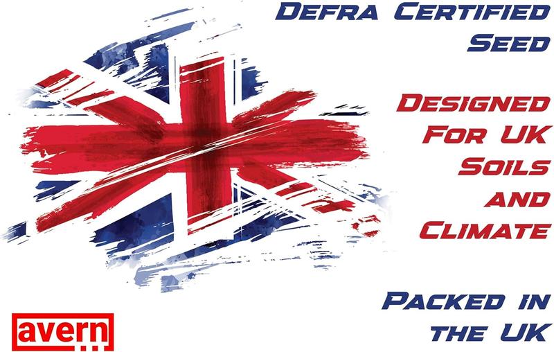 Product Introduction of Turbo Grass Seed 1.3KG, Fast Growing Lawn Seed, Hard Wearing Grass, Dog Friendly, Can Germinate as Quick as 7 Days, Ideal for Overseeding or New UK Gardens (1.3KG, Upto 78 sqm Coverage) 3