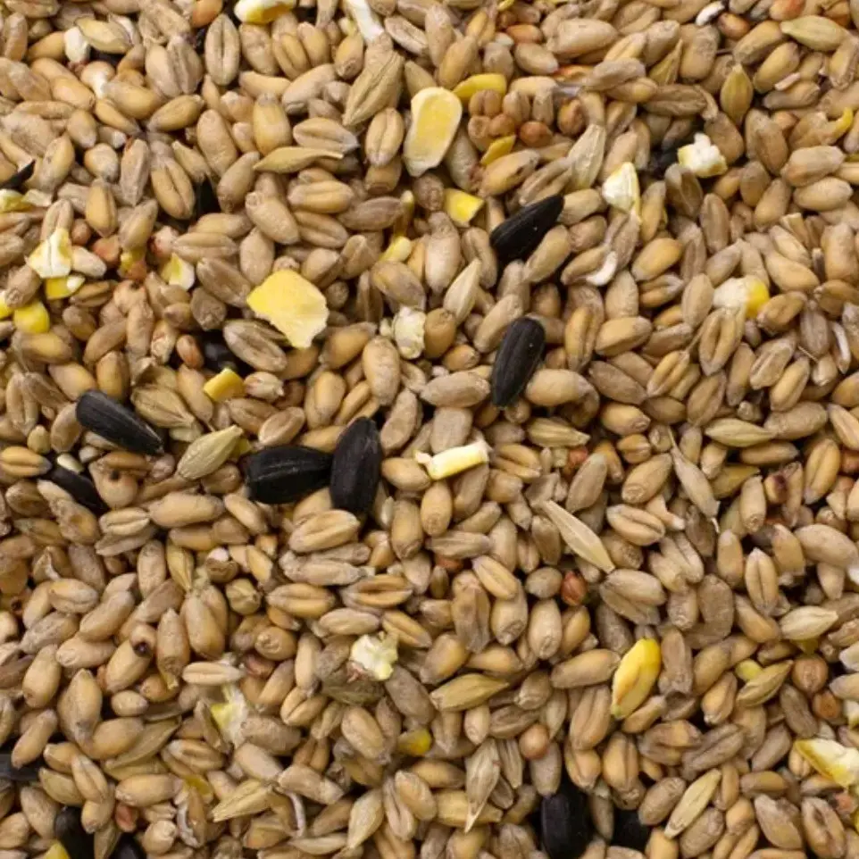 Wild Bird Seed Mix 1kg